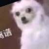 梁煥桃