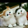 happy