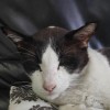 Asia🐈 <3