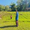 Sun Nattwut
