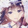 🌸사쿠라 🌸