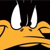 quickyduck