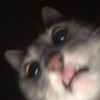 nblhkhrnsa