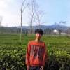 Riskii Fauzi
