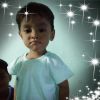 M Fauzi