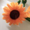 STAR🌻