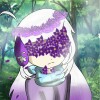 mikadzuki plue