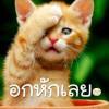 วิชัย ไชยเขียว