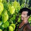 ပစ်တိုင်း ထောင်