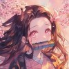 余柒柒
