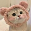 丽娟
