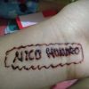 Nico Hondro