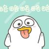 顾小玉🐼