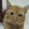 舜舜