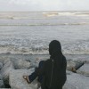 mysarxh