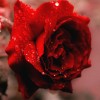 todayis_zu