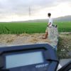 Ridho Yoga Falutfi