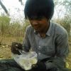 Sai Sai