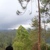 Briliant Faurasyidah