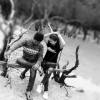 Riestaries Boru Girsang