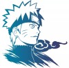 Sasukesasuri