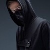 Alan Walker fans
