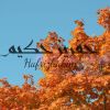Muhammad HafriezHakiem El-Jouhoury