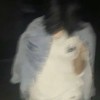 Rimel Elput