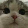 sunsu._.