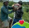 Bang Rizal Izal