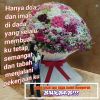 Ega Nirawaty