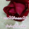 ดอกไม้ คือดอกไม้