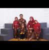 Wardi