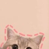 My name is M