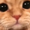 Juvandrew