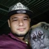 Sirdow Dogdog