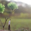 မန် မန်
