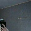ntx_xtr