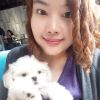 Febe Yuan