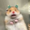MONBEBE