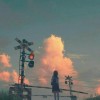 峰回鹿转