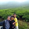 M Arif