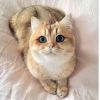 Catie.Mama