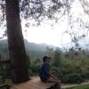 Lutfi Stranger's