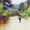 Setia
