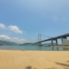已停用