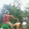 Jhonry Pargabus Nainggolan