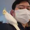 Somchoke Laohhasurayotin