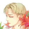 Jhsapplexo7