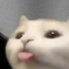 pleng